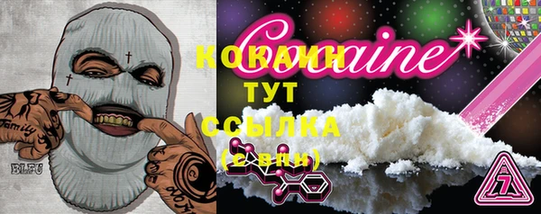 ПСИЛОЦИБИНОВЫЕ ГРИБЫ Заводоуковск