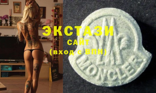 гашик Инта