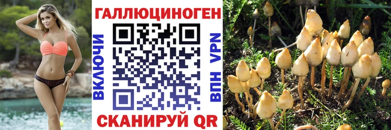 Галлюциногенные грибы Magic Shrooms OMG зеркало Советск